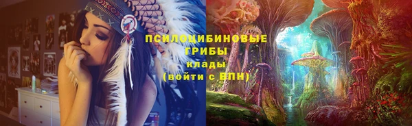мет Кинешма