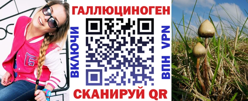 Псилоцибиновые грибы прущие грибы OMG как войти Ковдор продажа наркотиков